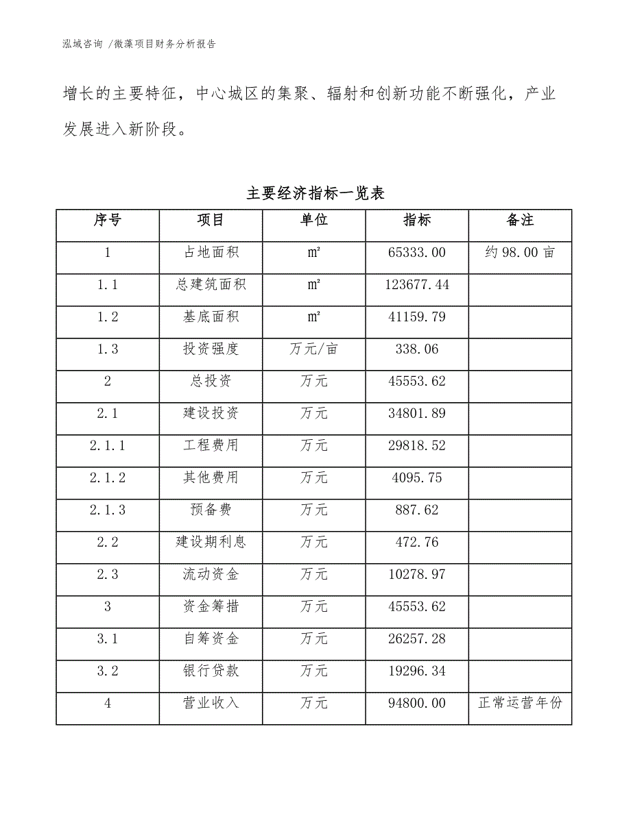 微藻项目财务分析报告（模板）_第4页