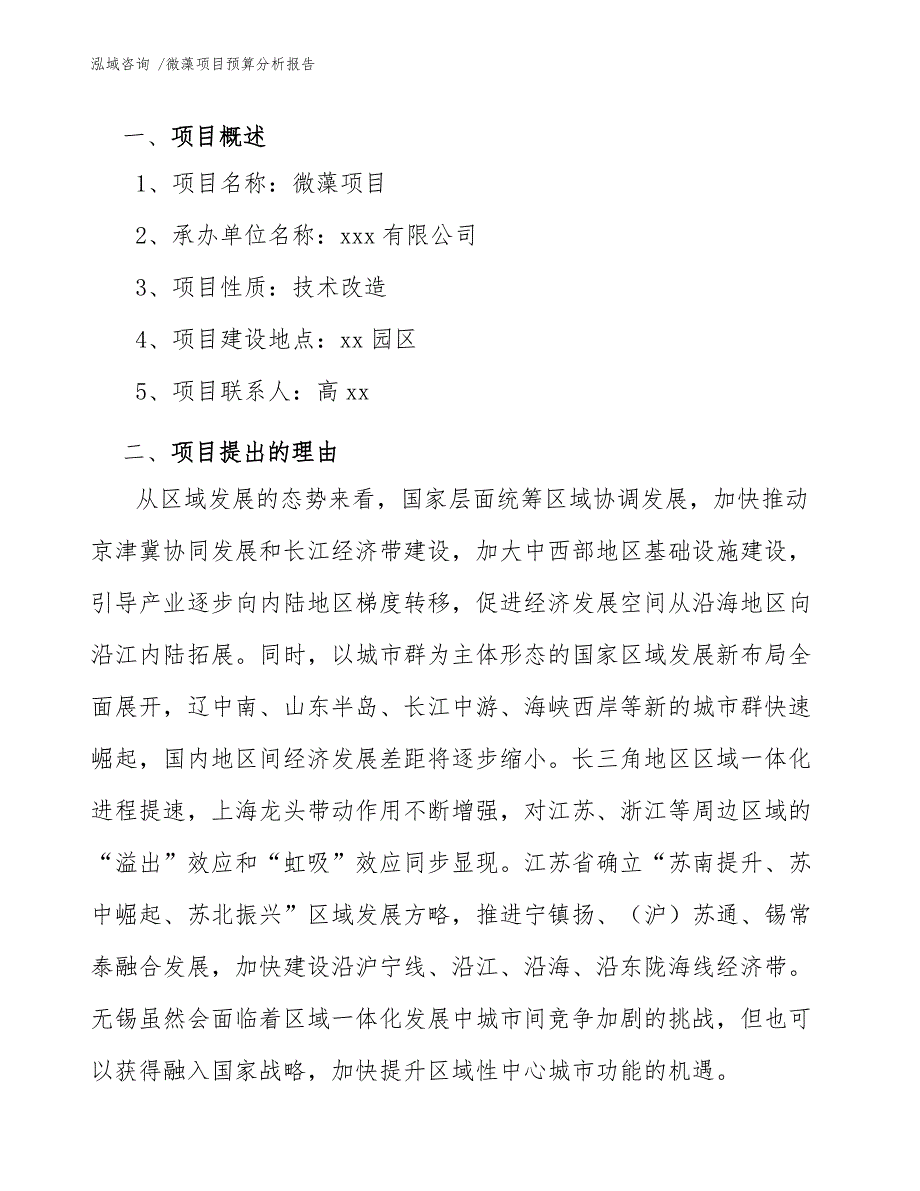 微藻项目预算分析报告（模板范本）_第3页