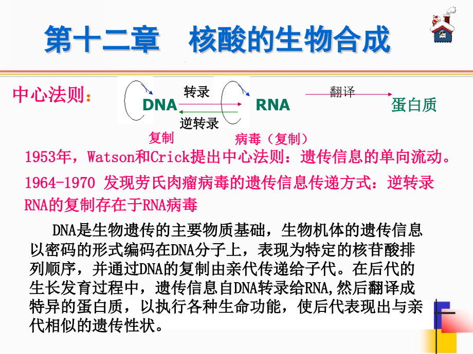 生物化学-12323245183_第3页