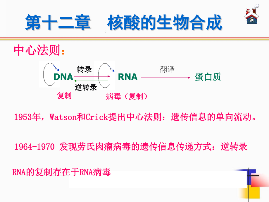 生物化学-12323245183_第4页