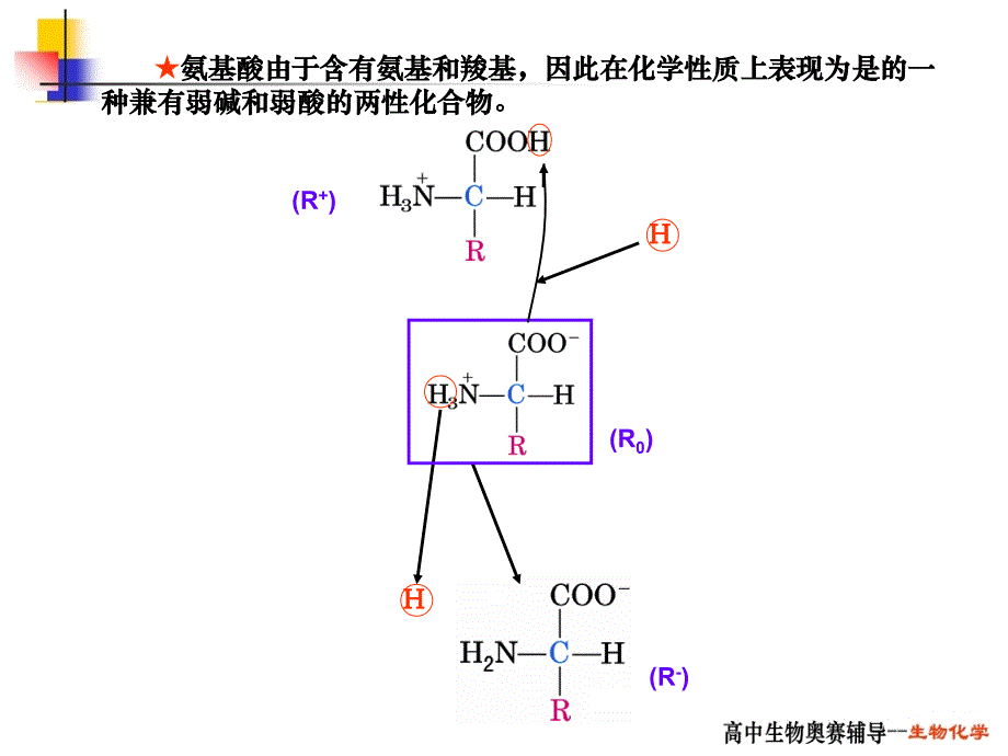 高中生物奥赛辅导之六_第4页