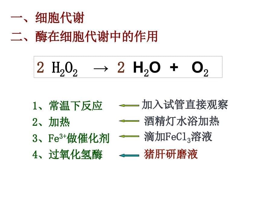 高中生物必修1《分子与细胞》(新人教版)：51 《降低化学反应活化能_第5页