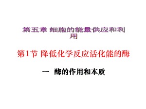 高中生物必修1《分子与细胞》(新人教版)：51 《降低化学反应活化能