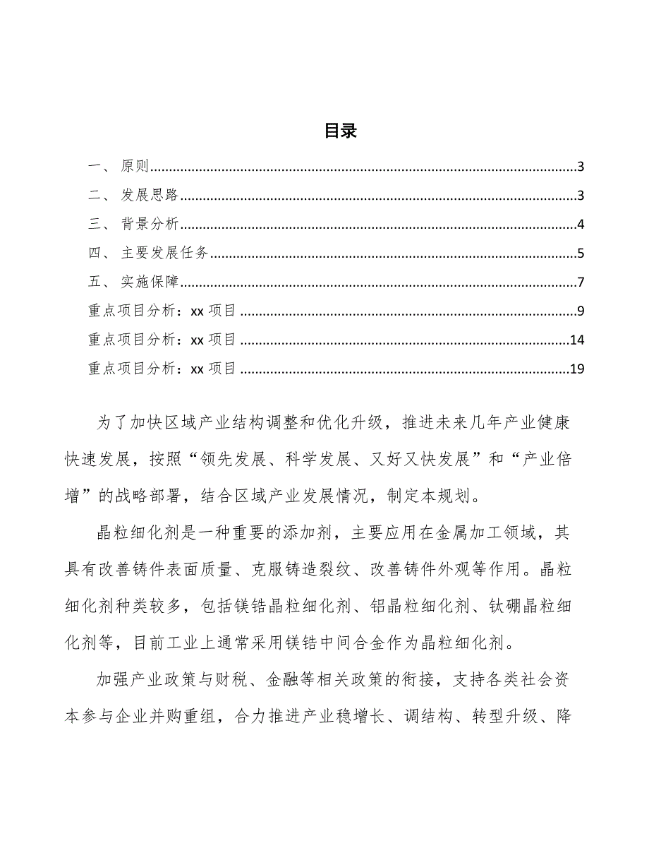 xx公司晶粒细化剂行业行动方案（审阅稿）_第2页