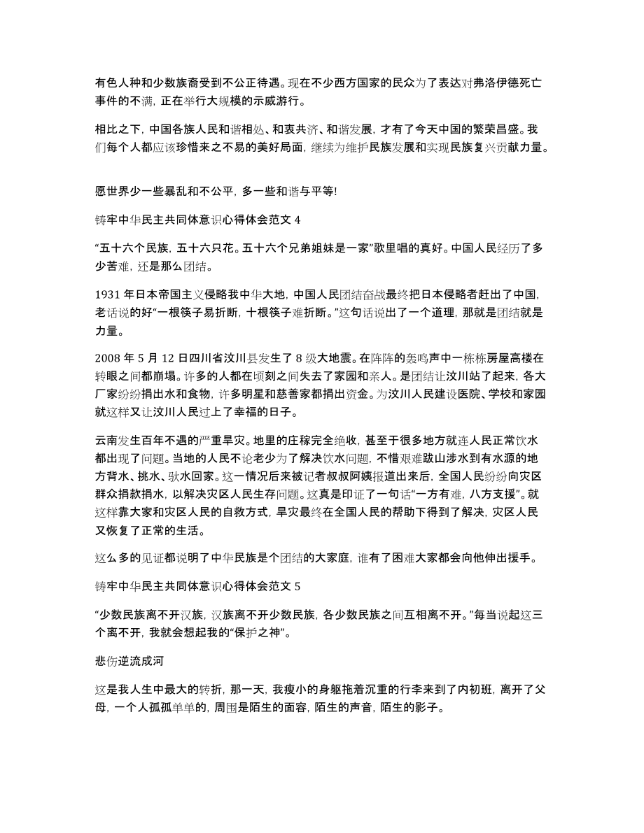 铸牢中华民主共同体意识心得体会范文五篇_第3页