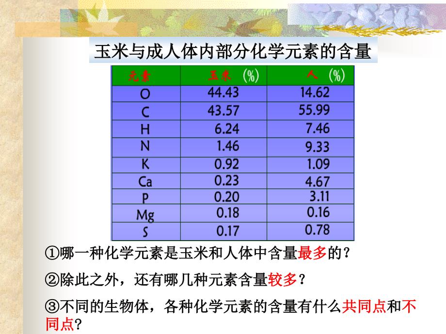 高中生物必修1《分子与细胞》(新人教版)：11《组成生物体的化学元素_第3页