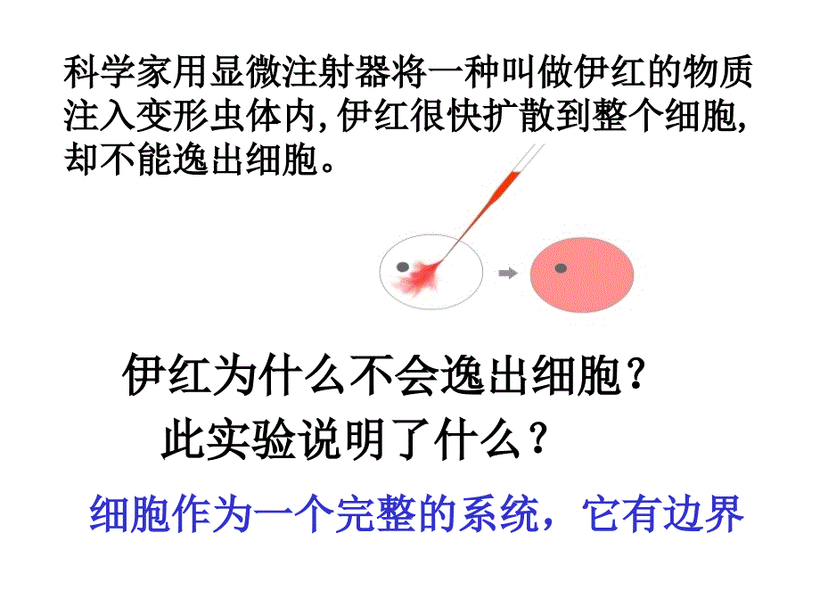 31高一生物细胞膜_第4页