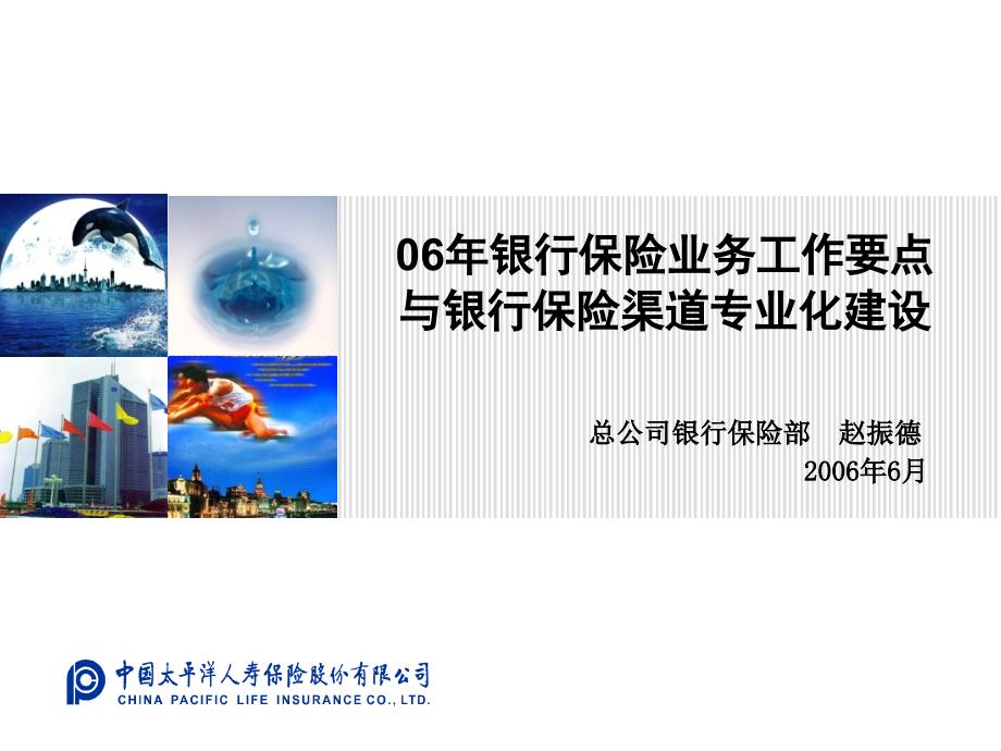 06年银行保险业务工作要点与银行保险渠道专业化建设_第1页