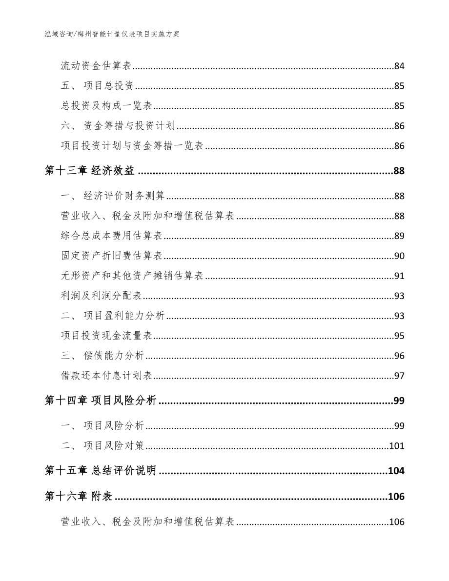 梅州智能计量仪表项目实施方案（范文）_第5页