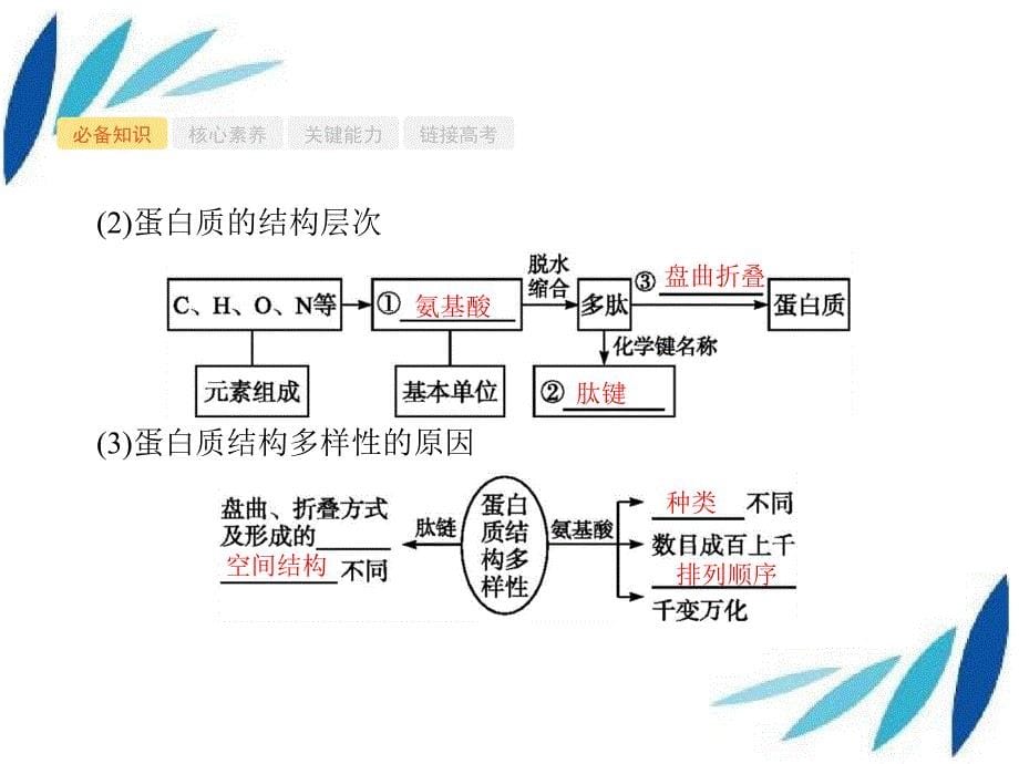 版高考生物一轮复习 第3讲 生命活动的主要承担者——蛋白质课件 新人教版-新人教版高三全册生物课件_第5页