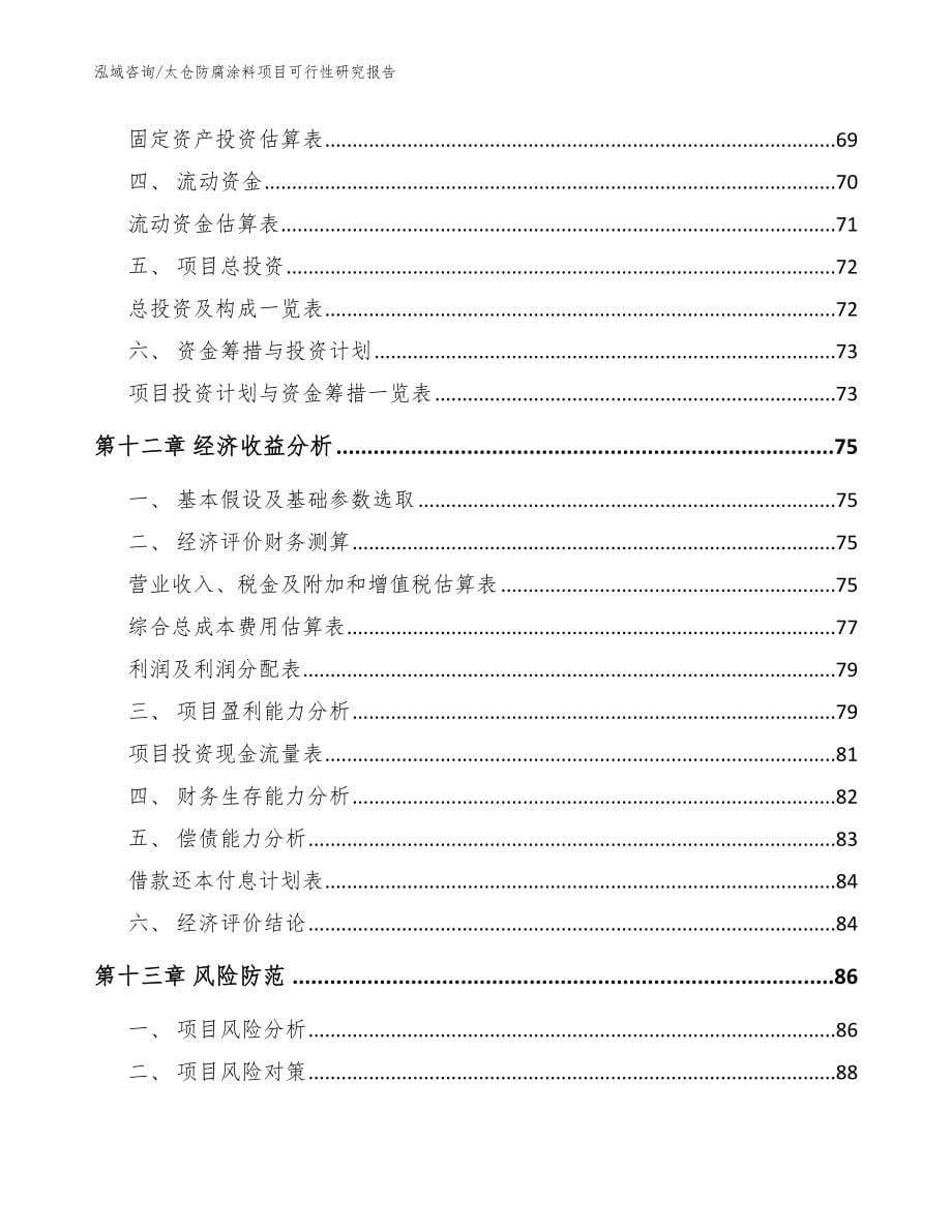 太仓防腐涂料项目可行性研究报告（模板范文）_第5页