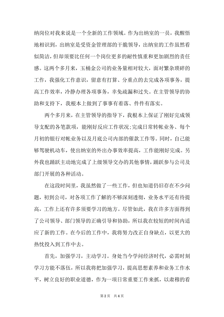 2022年出纳试用期工作总结范文1010字_第2页