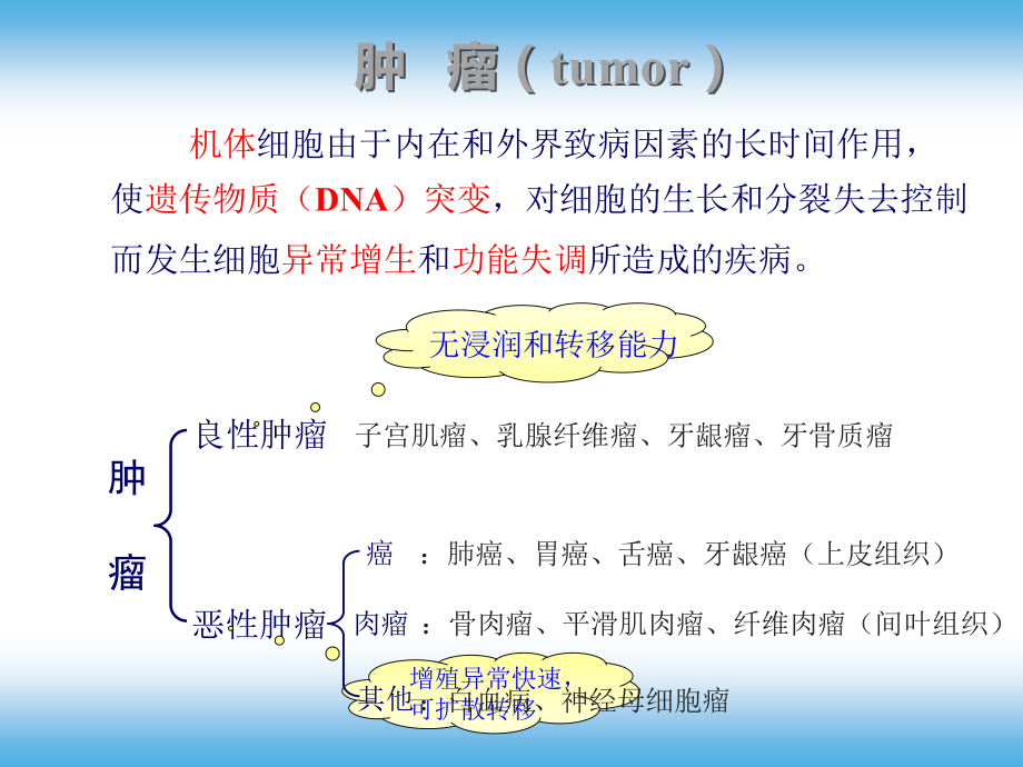 口腔药物学课件 第七章抗肿瘤药_第3页