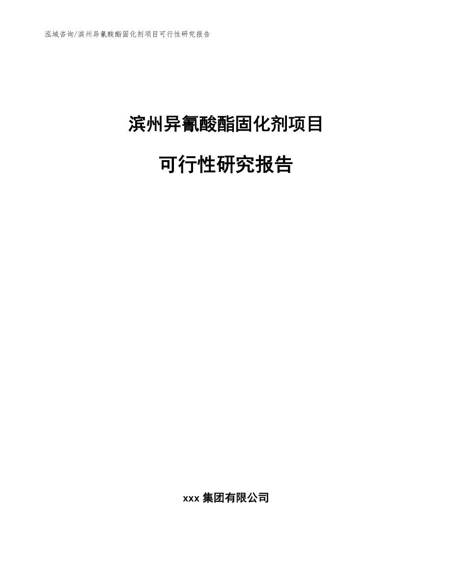 滨州异氰酸酯固化剂项目可行性研究报告参考范文_第1页