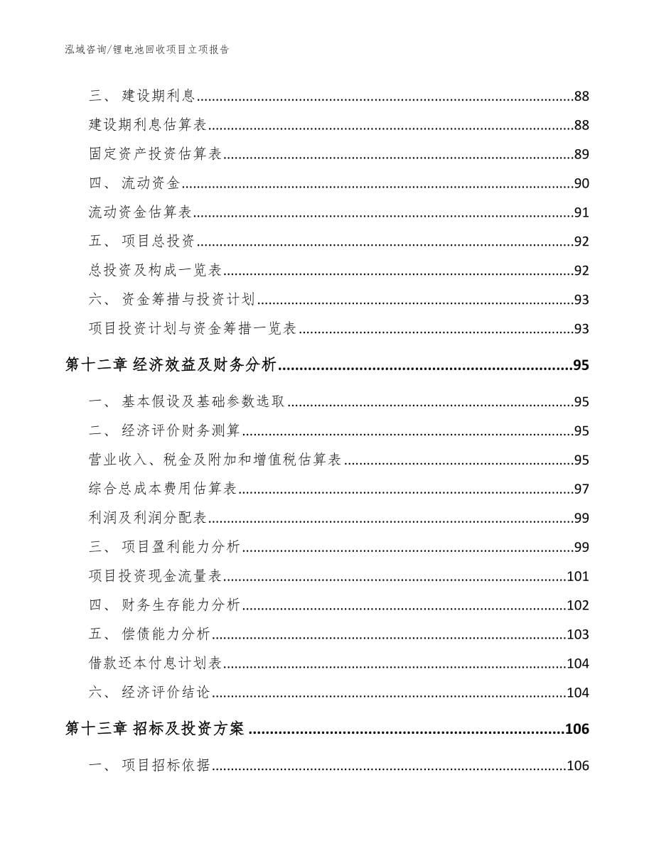 锂电池回收项目立项报告【范文】_第5页