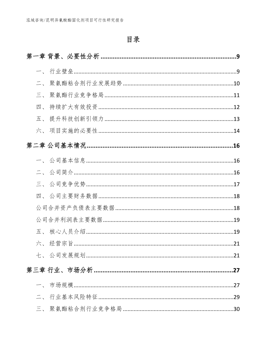 昆明异氰酸酯固化剂项目可行性研究报告（范文）_第2页