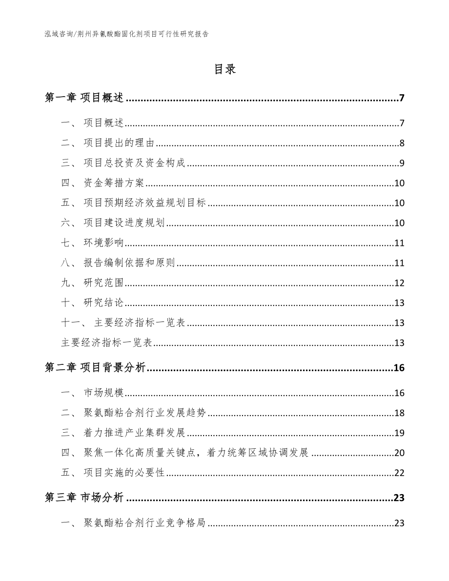 荆州异氰酸酯固化剂项目可行性研究报告（范文参考）_第1页