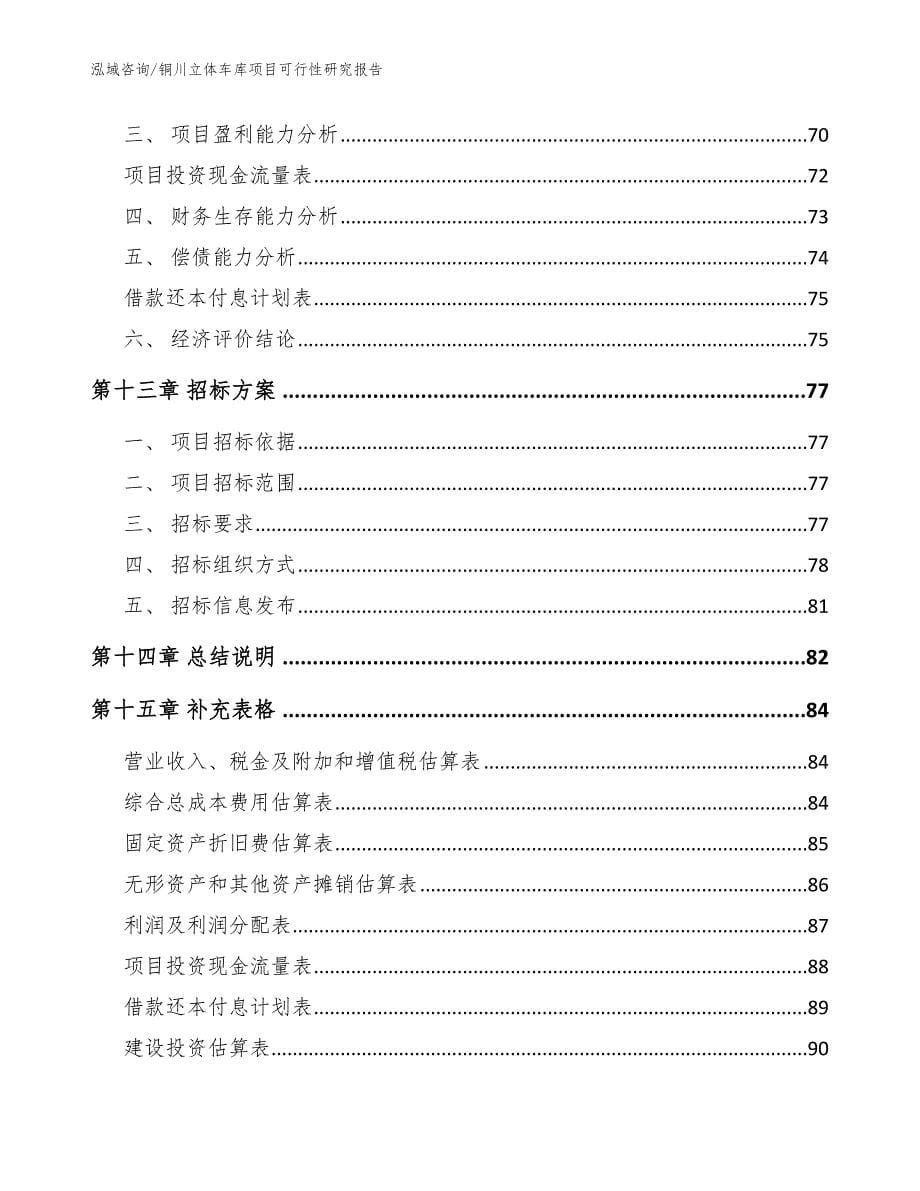 铜川立体车库项目可行性研究报告_参考范文_第5页