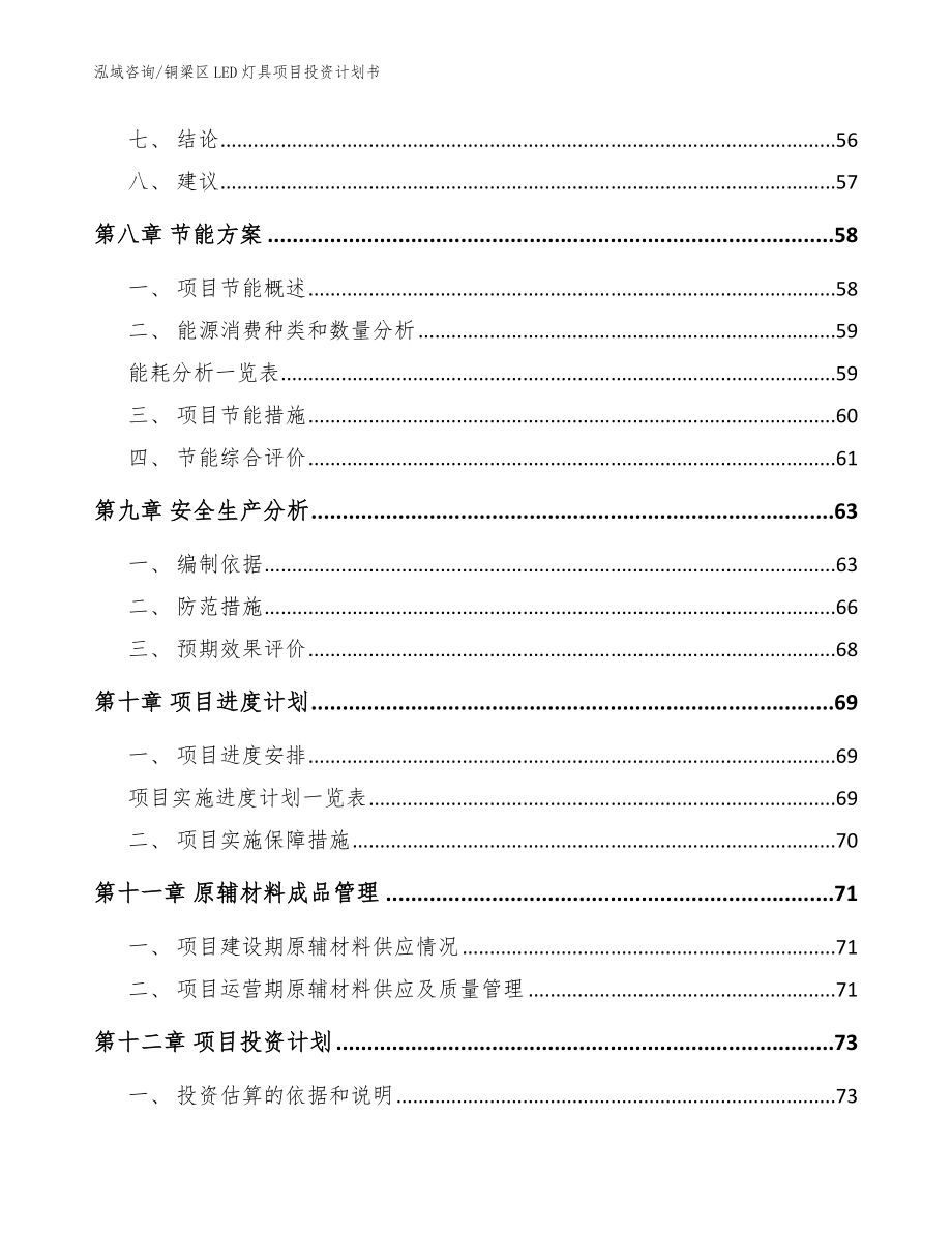 铜梁区LED灯具项目投资计划书（范文参考）_第3页