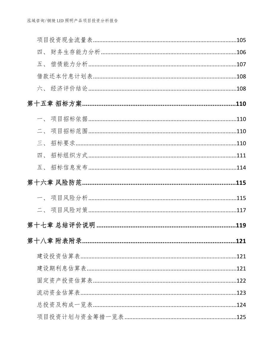 铜陵LED照明产品项目投资分析报告_范文模板_第5页