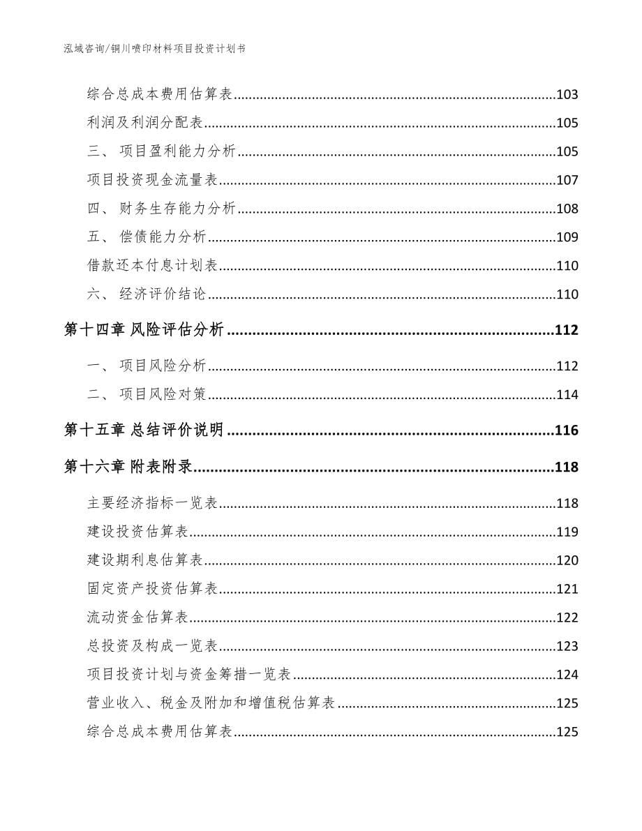 铜川喷印材料项目投资计划书_参考模板_第5页