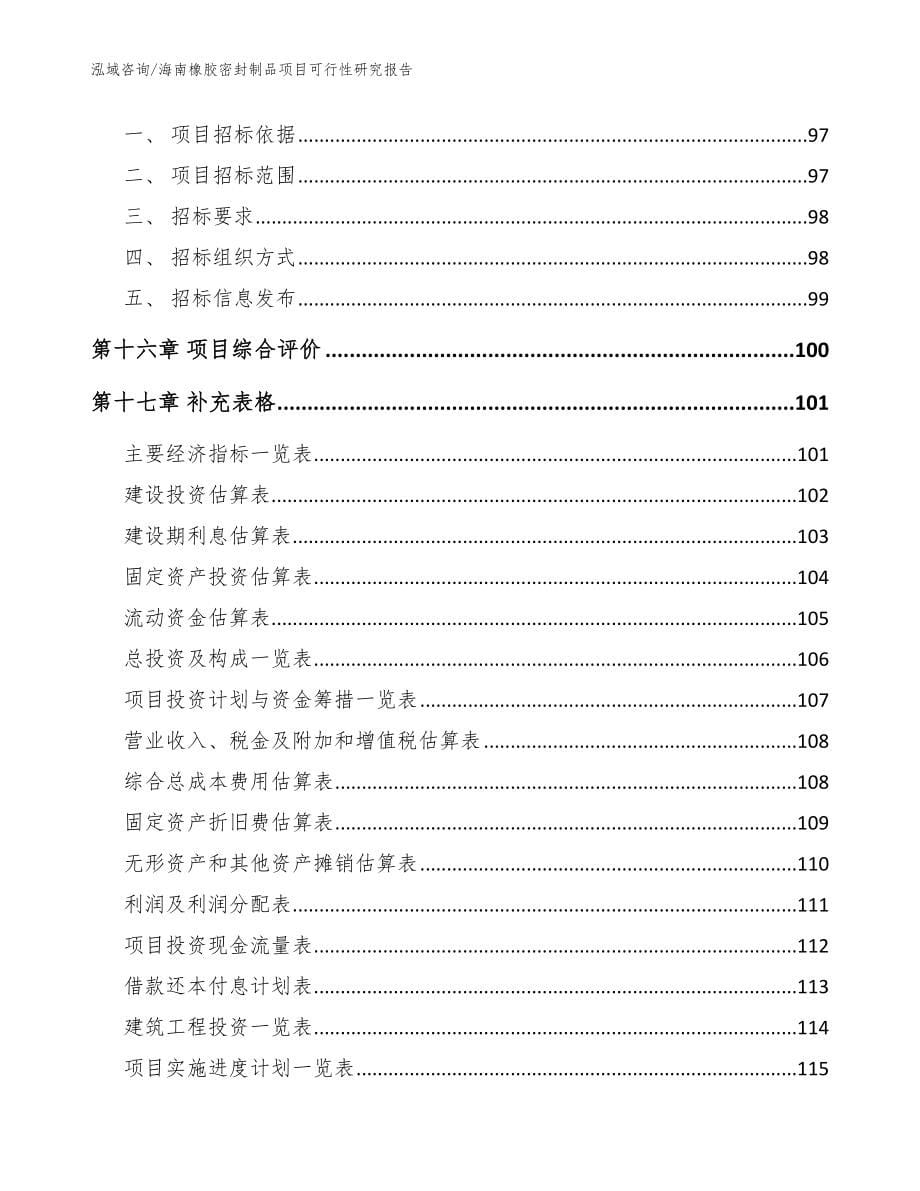 海南橡胶密封制品项目可行性研究报告（范文模板）_第5页