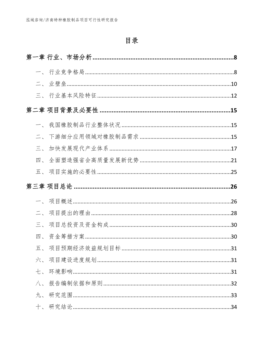 济南特种橡胶制品项目可行性研究报告_模板范文_第1页