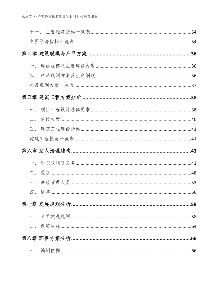 济南特种橡胶制品项目可行性研究报告_模板范文_第2页