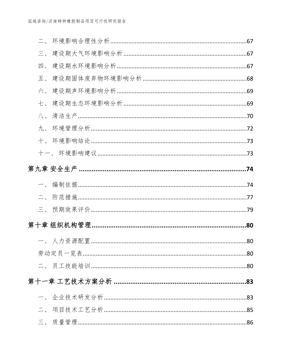 济南特种橡胶制品项目可行性研究报告_模板范文_第3页