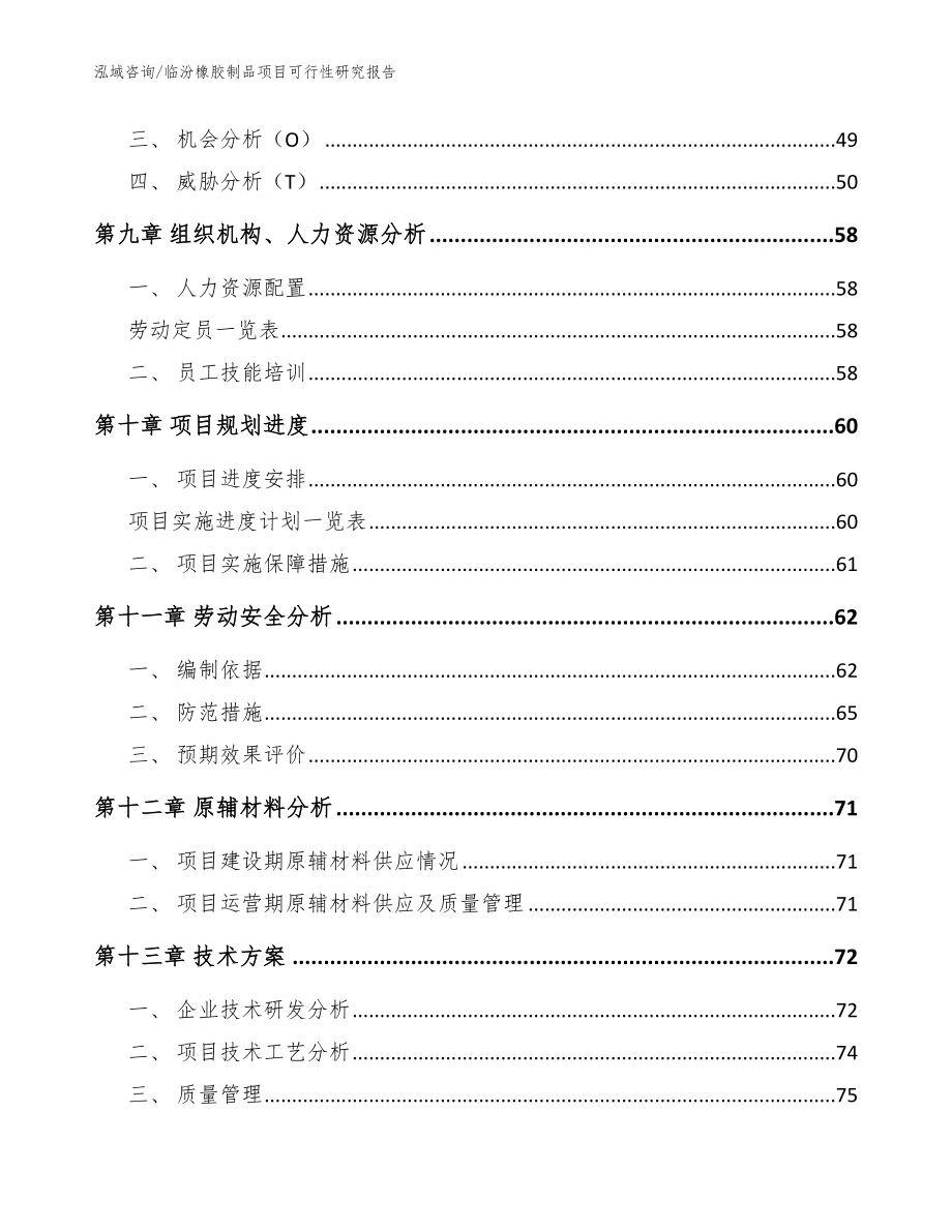 临汾橡胶制品项目可行性研究报告_参考模板_第3页