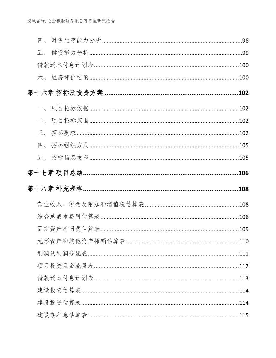 临汾橡胶制品项目可行性研究报告_参考模板_第5页