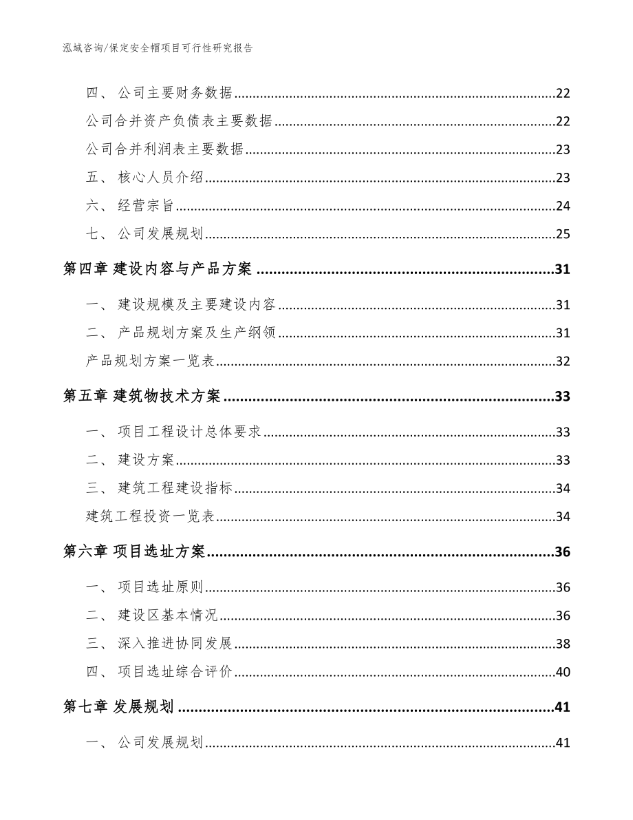 保定安全帽项目可行性研究报告_范文模板_第2页