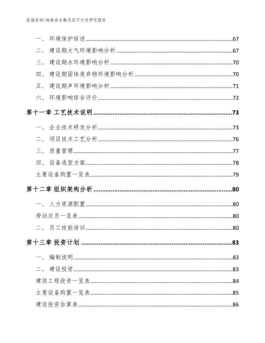 海南安全鞋项目可行性研究报告_模板_第5页