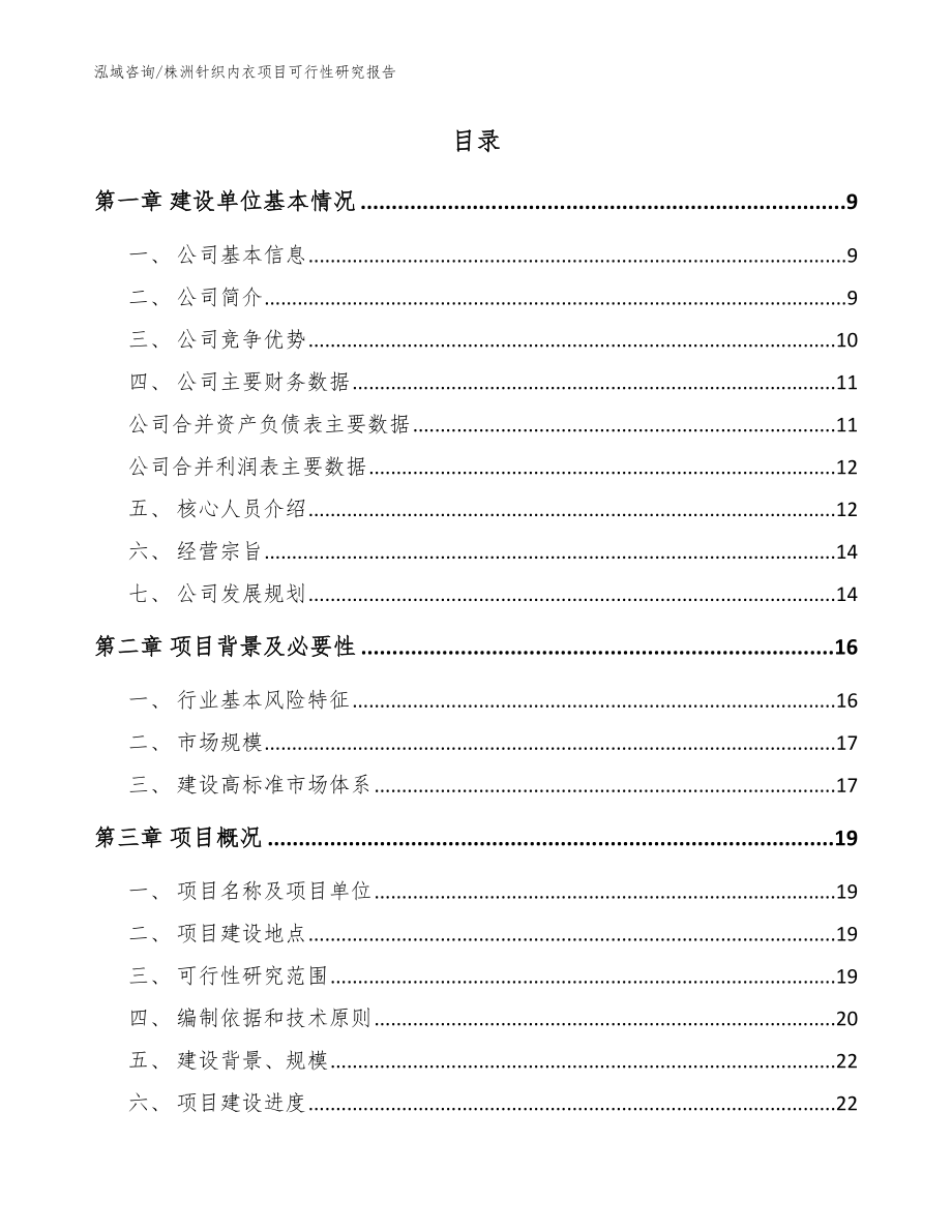 株洲针织内衣项目可行性研究报告【模板范本】_第2页