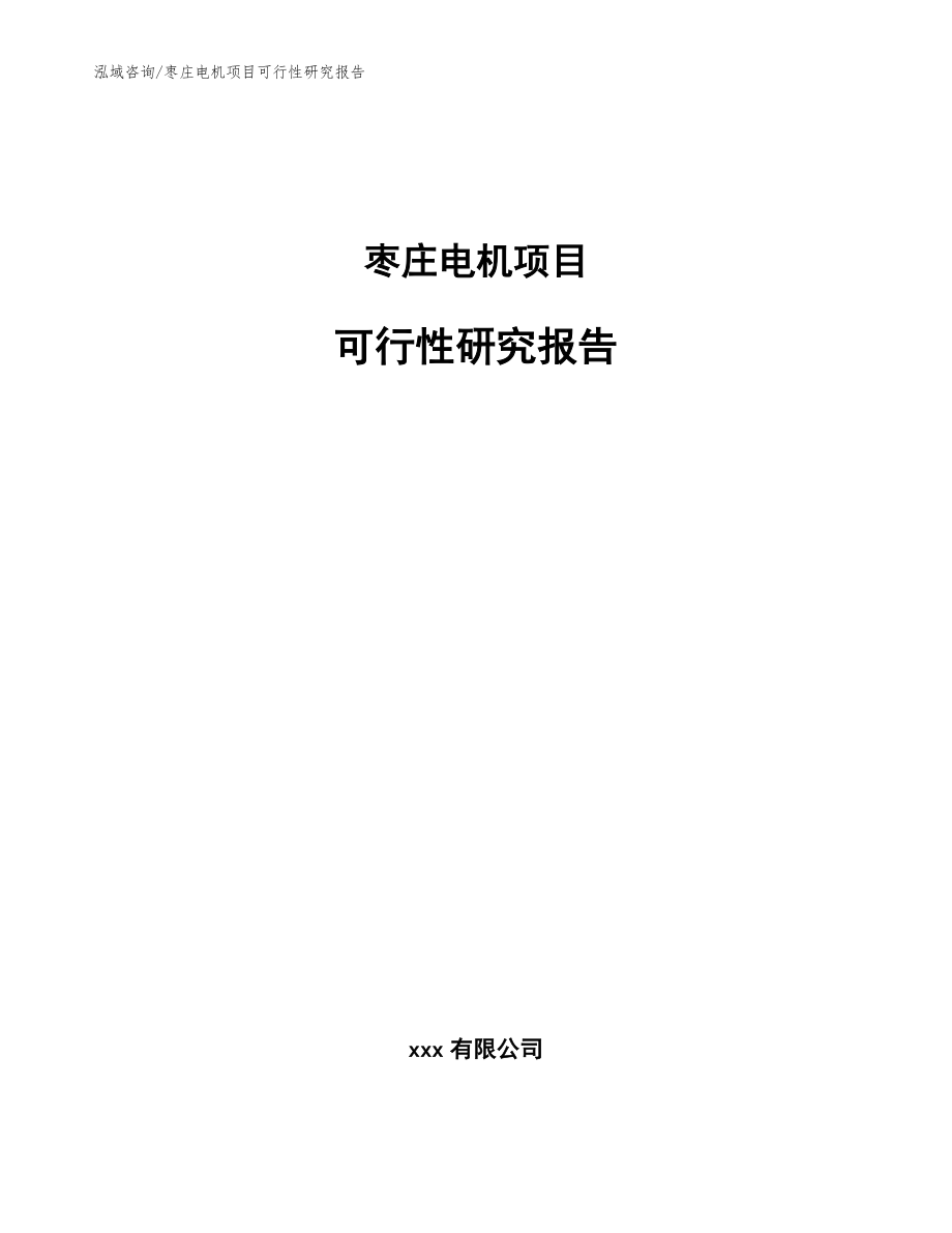 枣庄电机项目可行性研究报告【范文】_第1页