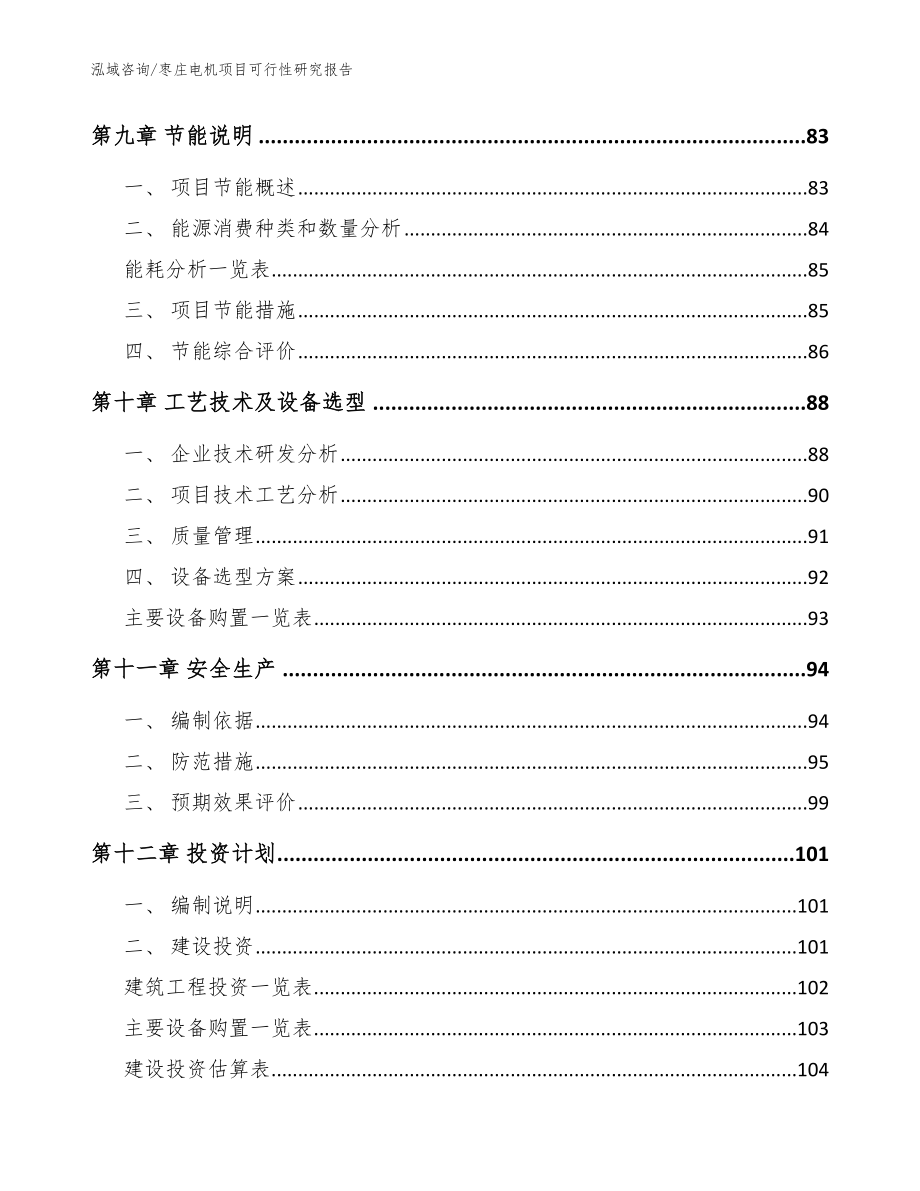 枣庄电机项目可行性研究报告【范文】_第4页