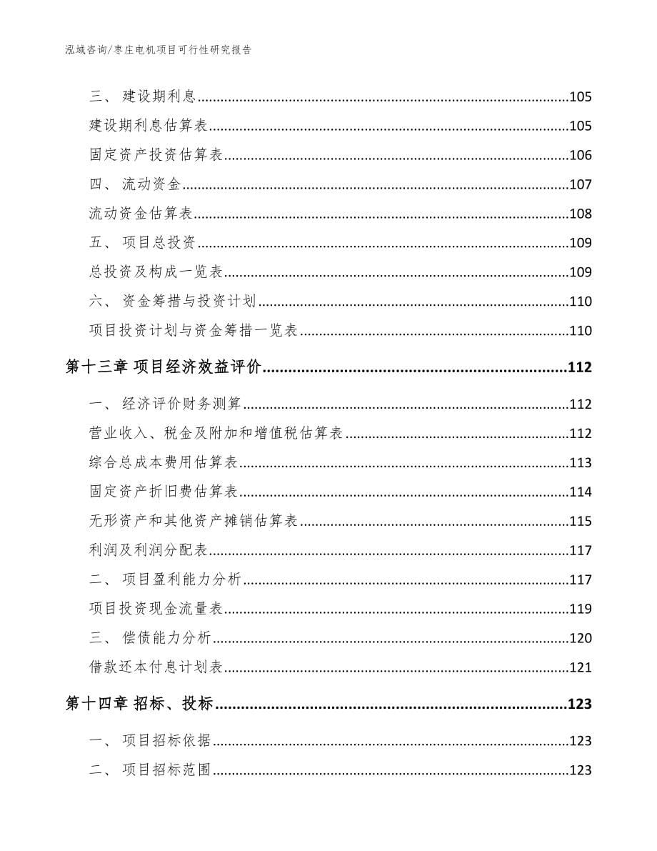 枣庄电机项目可行性研究报告【范文】_第5页