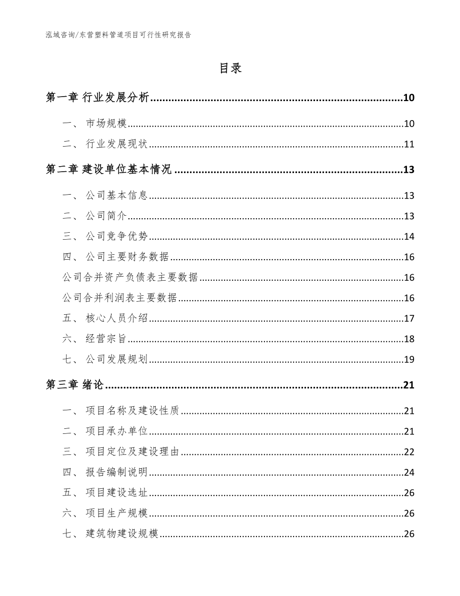 东营塑料管道项目可行性研究报告（范文模板）_第2页