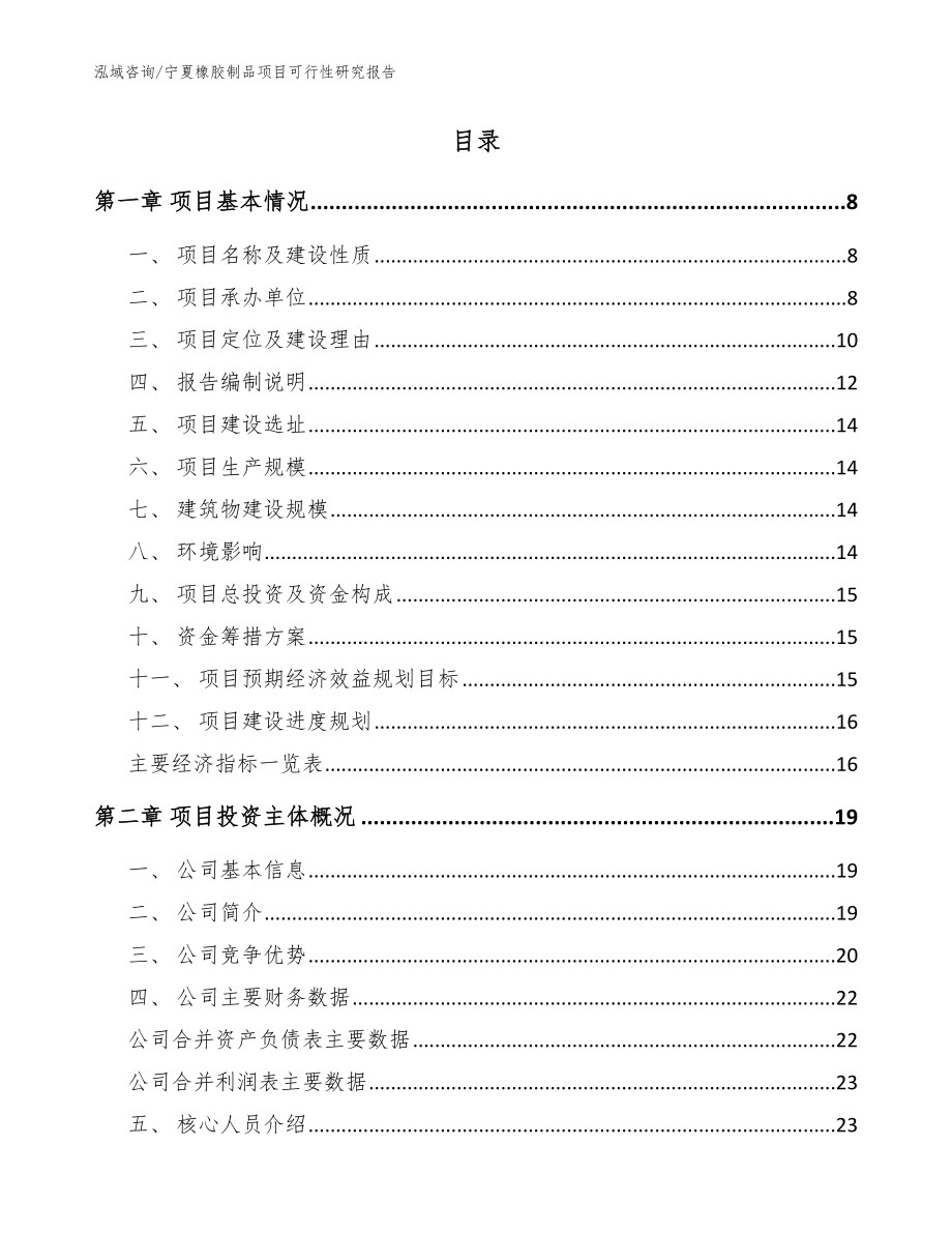 宁夏橡胶制品项目可行性研究报告（范文）_第2页