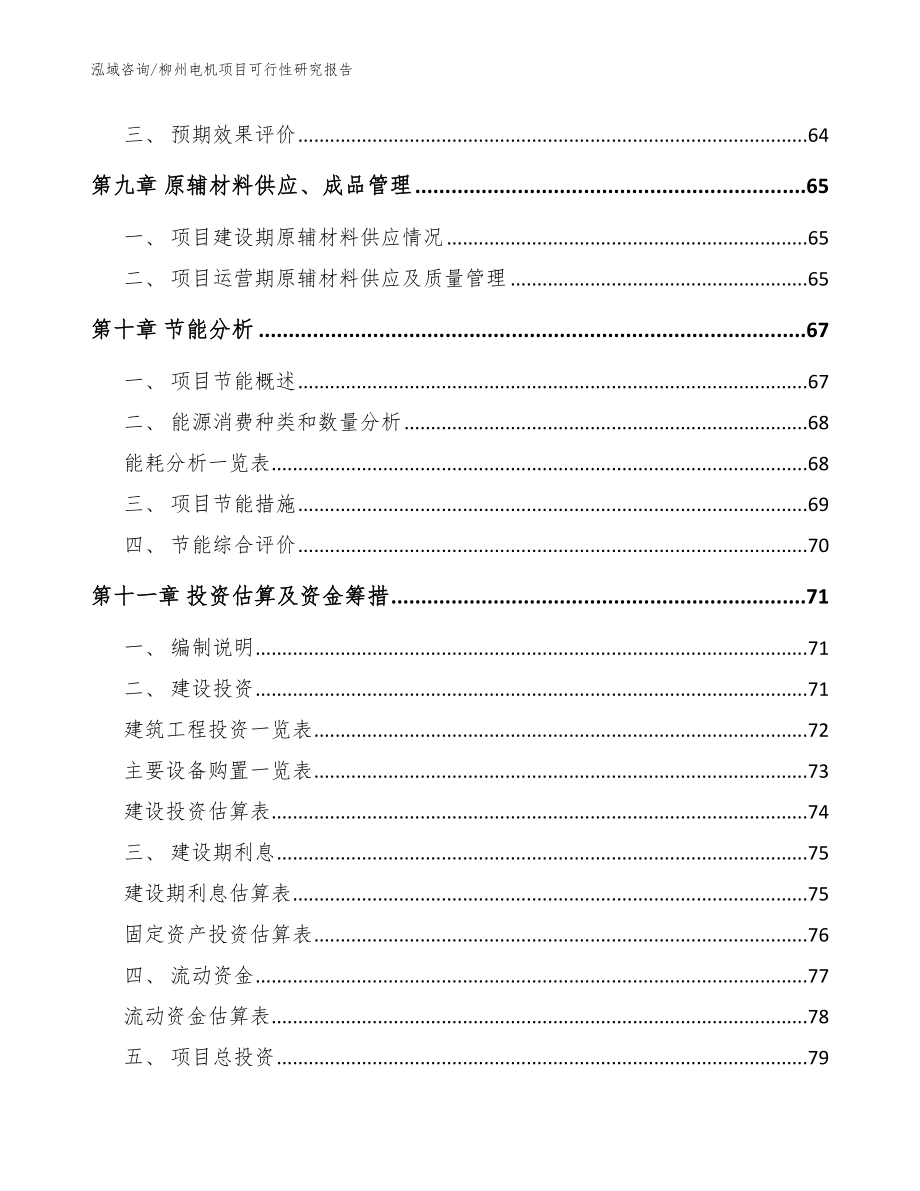 柳州电机项目可行性研究报告【范文参考】_第3页