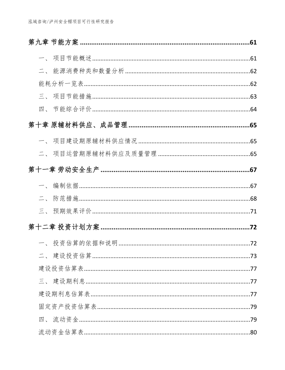 泸州安全帽项目可行性研究报告【模板范文】_第3页