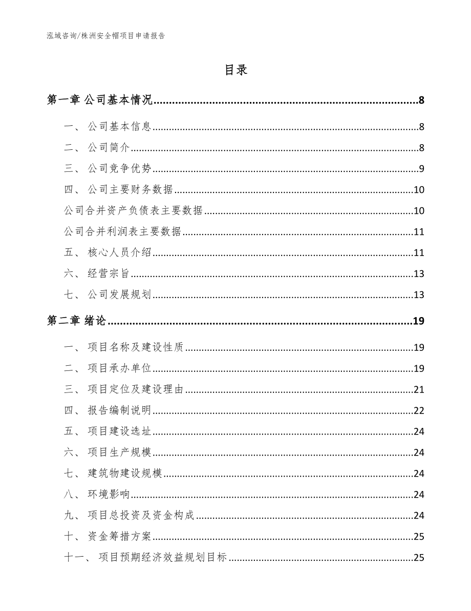 株洲安全帽项目申请报告_模板_第2页