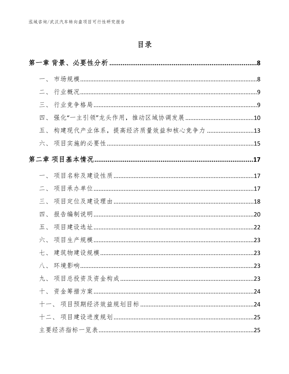 武汉汽车转向盘项目可行性研究报告（范文模板）_第1页