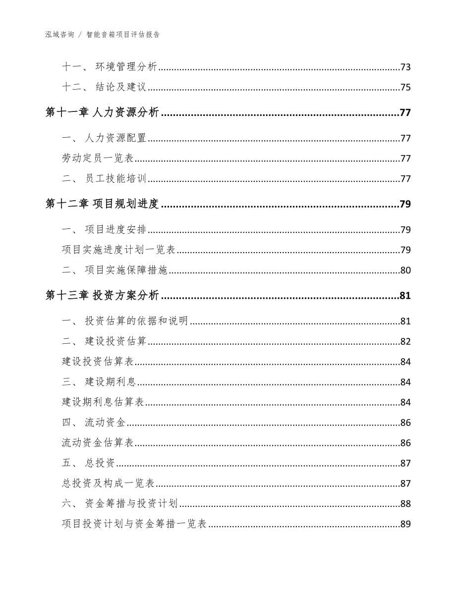 智能音箱项目评估报告_模板范文_第5页