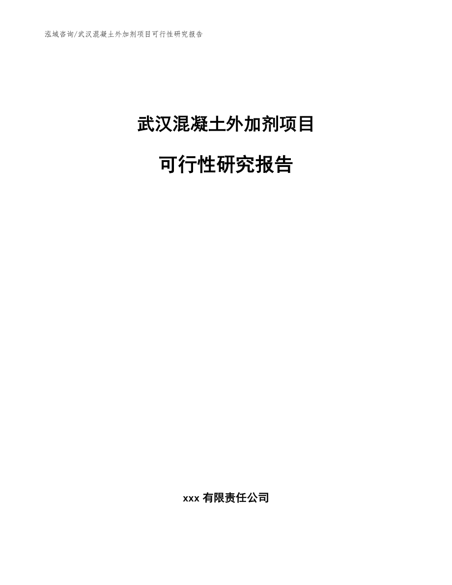 武汉混凝土外加剂项目可行性研究报告（模板范文）_第1页