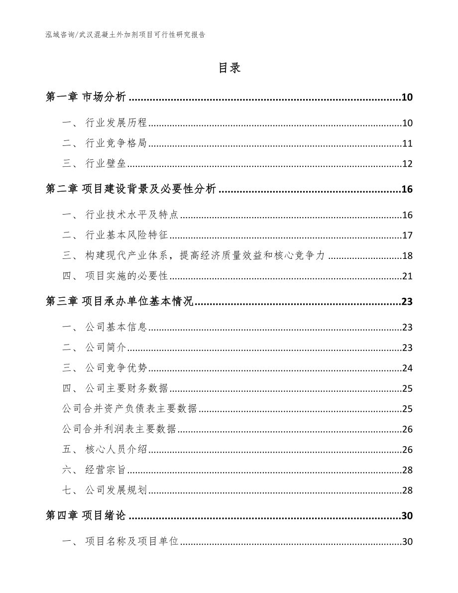 武汉混凝土外加剂项目可行性研究报告（模板范文）_第2页