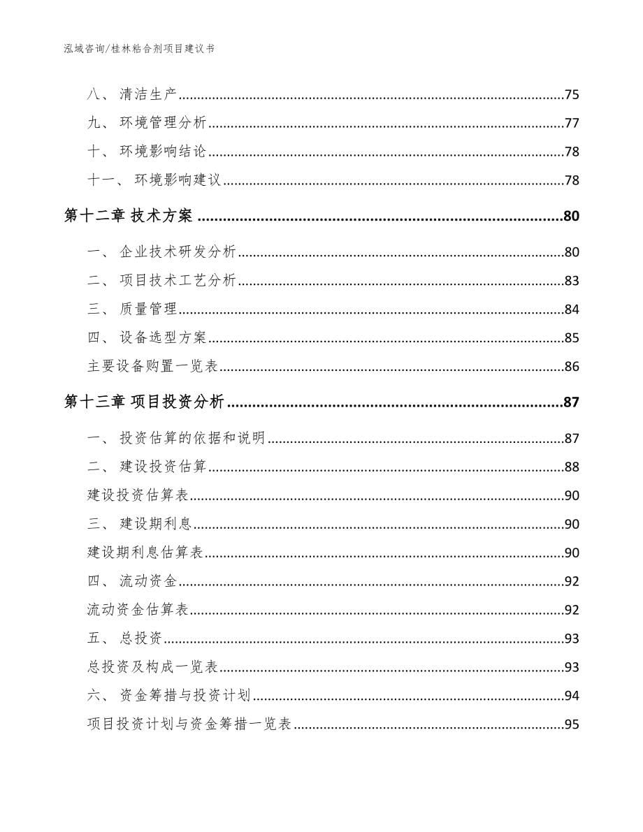 桂林粘合剂项目建议书（模板范文）_第5页