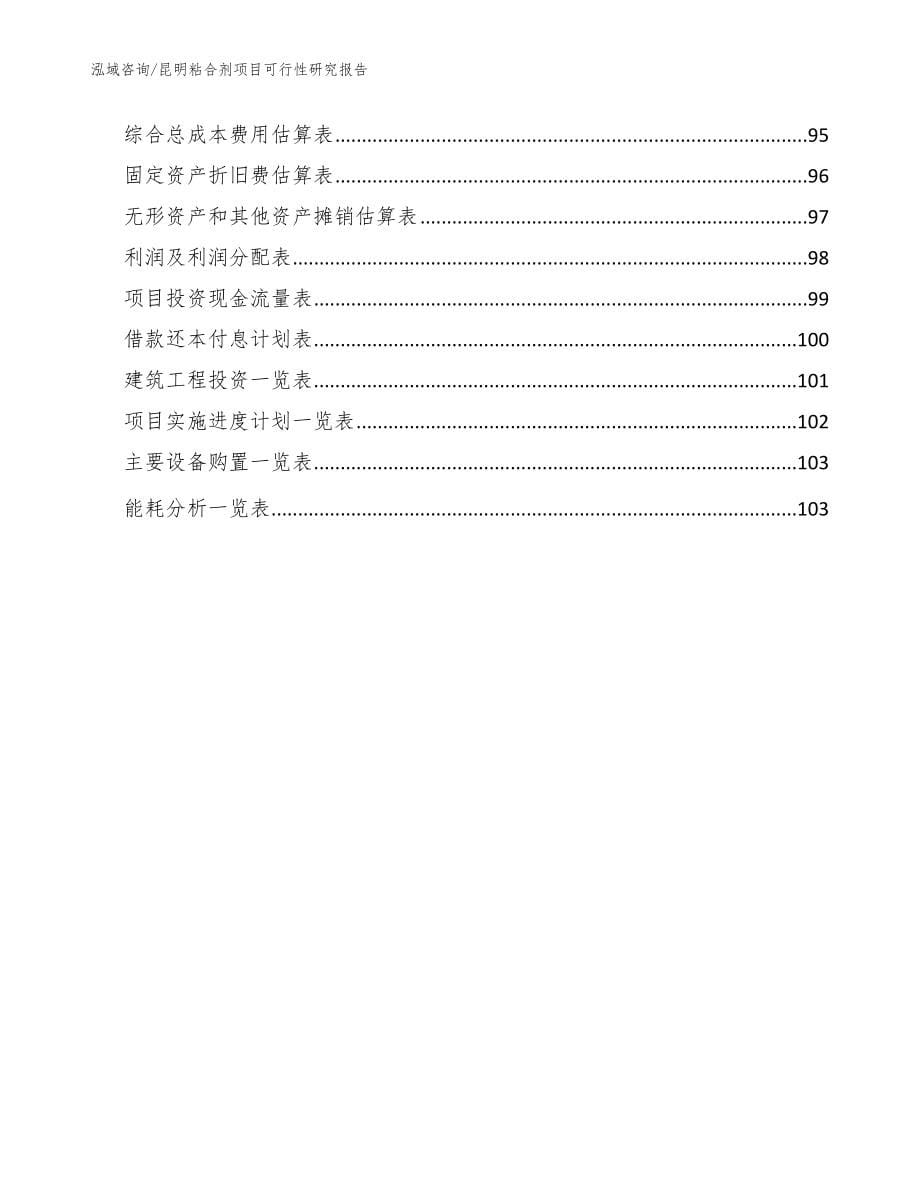 昆明粘合剂项目可行性研究报告【模板范本】_第5页