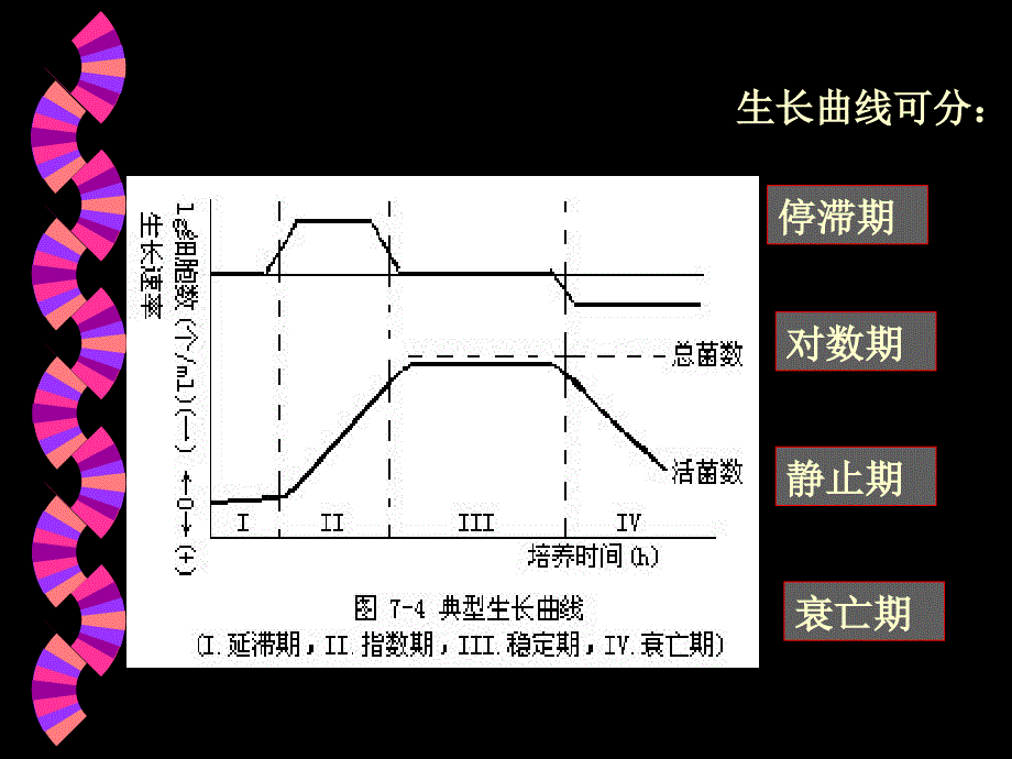 微生物的生长繁殖与_第4页