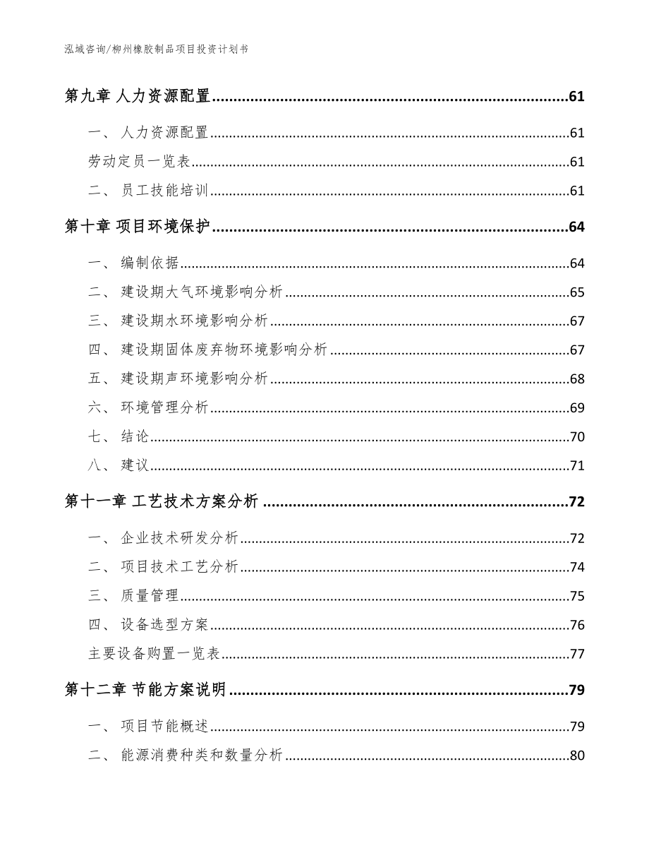 柳州橡胶制品项目投资计划书_范文模板_第4页